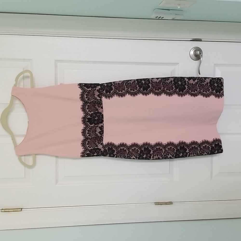 The Limited Blush and Black Lace Dress Size: 4